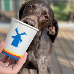 Puppaccino