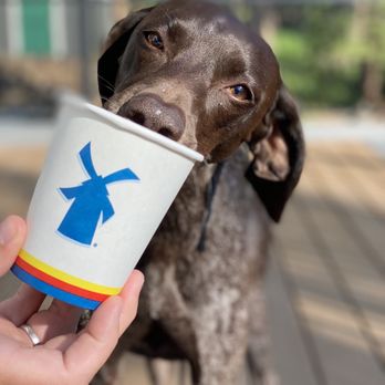 Dutch Bros Coffee - Puppaccino - Juice Bars & Smoothies Near Me - Conifer, Colorado