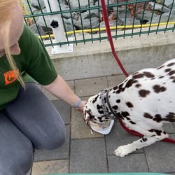 Friedchen's Gasthof & Biergarten - Our dog gets her own sausage