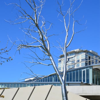 Olympic Sculpture Park - Roxy Paine; Split; 2003; polished stainless steel - Parks Near Me - Seattle, Washington Olympic Sculpture Park - Roxy Paine; Split; 2003; polished stainless steel - Parks Near Me - Seattle, Washington
