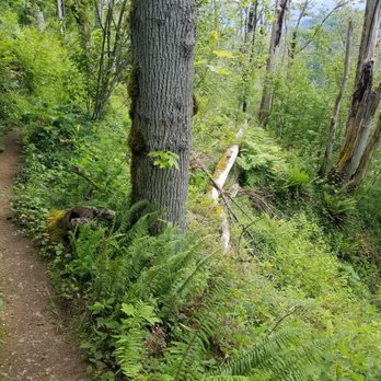 Franklin Ghost Town - Path is close to the edge in some areas - Hiking Near Me