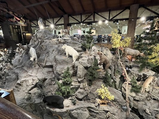 Bass Pro Shops (Formerly Cabela's) by null