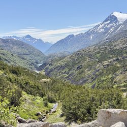 Frontier Excursions & Adventures