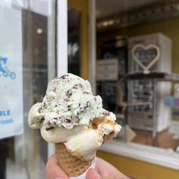 Mint Chocolate Chip Ice Cream