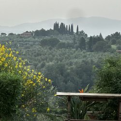 Fattoria degli Usignoli