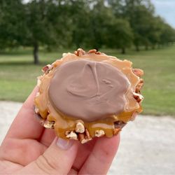 The Great San Saba River Pecan - Homemade turtle.