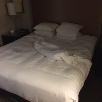 Hyatt Regency Deerfield - Somebody rolled out of bed as we checked in I guess...  nasty. - Hotels Near Me - Deerfield, Illinois