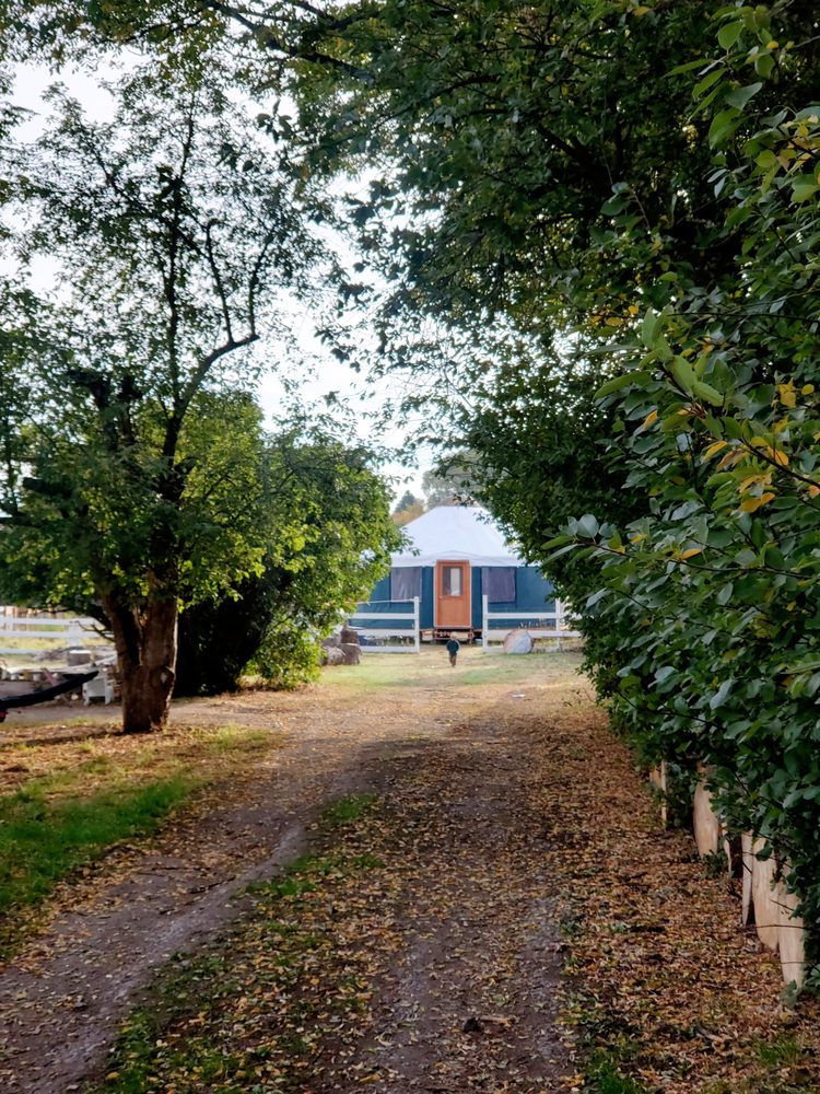 Mountain Song School - childcare center in Missoula, MT