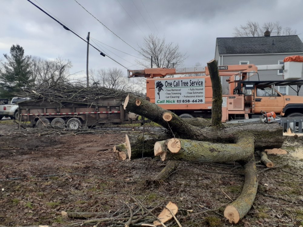 ONE CALL TREE SERVICE Millington, Michigan Excavation Services