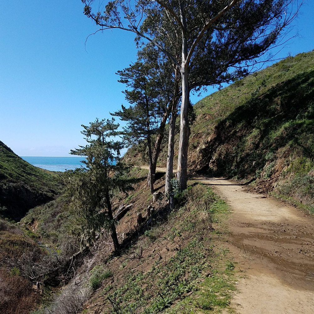 Harmony Headlands State Park - Parks Near Me - Cayucos, California Harmony Headlands State Park - Parks Near Me - Cayucos, California