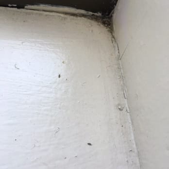 Red Lion Hotel Redding - More gnats - Hotels Near Me - Redding, California Red Lion Hotel Redding - More gnats - Hotels Near Me - Redding, California