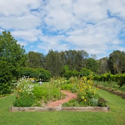 Robert's at Pepper Tree - vegetable garden at Roberts
