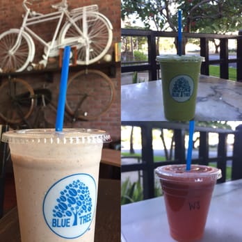 Bluetree Cafe - Honolulu - Different Shakes and Juices I have tried!!! So yum! - Coffee & Tea Near Me - Honolulu, Hawaii