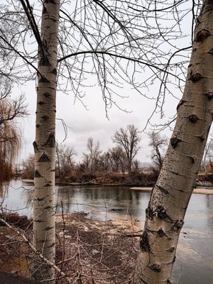 The Riverside Hotel by null