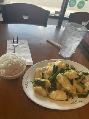 Bamboo Garden by null