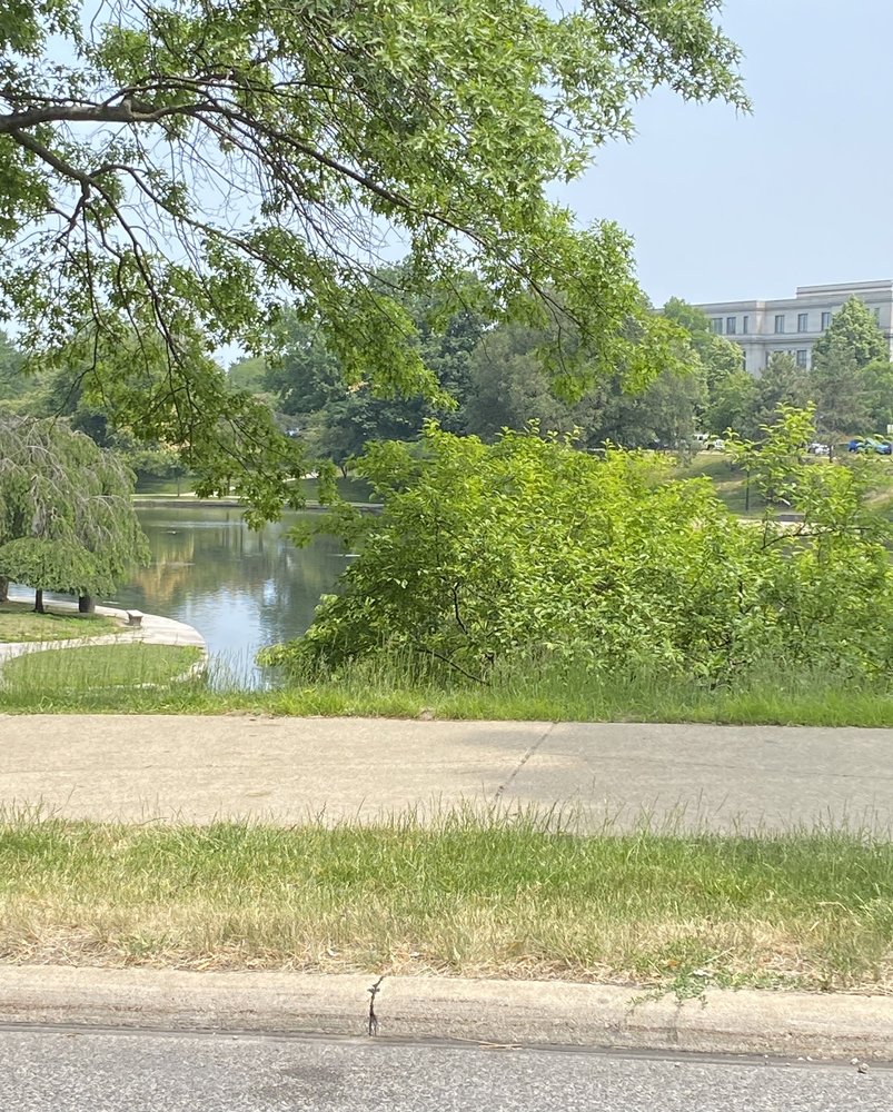 Social spots from Wade Oval