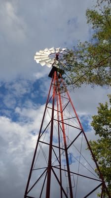 Parque de la Quinta de los Molinos by null