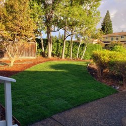 New sod install
