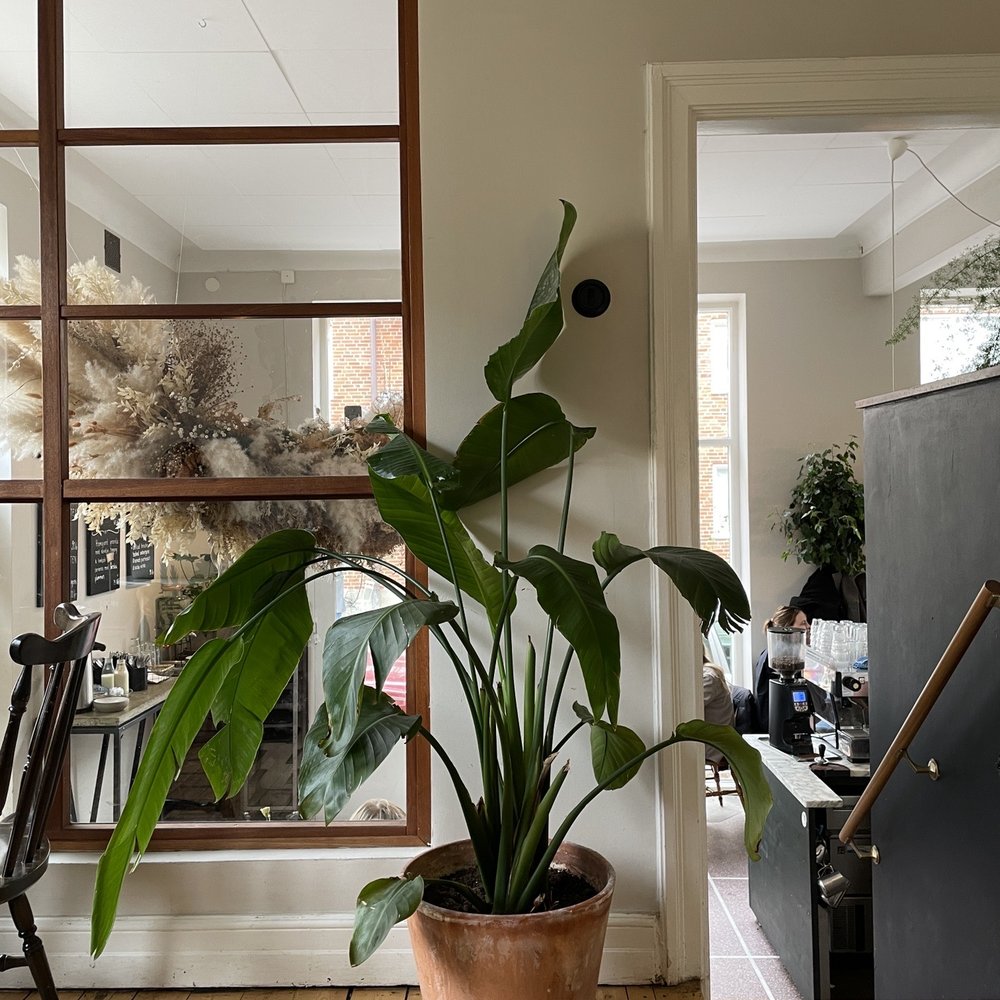 Atrium - Cafes Near Me - Malmö, M