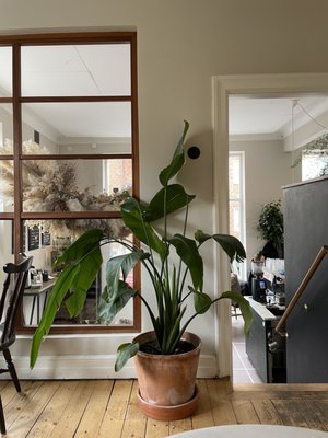 Atrium by null