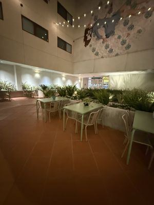 Alsace Living LA by null Alsace Living LA by null