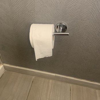 DoubleTree by Hilton Harrisonburg - Broken and loose toilet paper holder - Hotels Near Me - Harrisonburg, Virginia