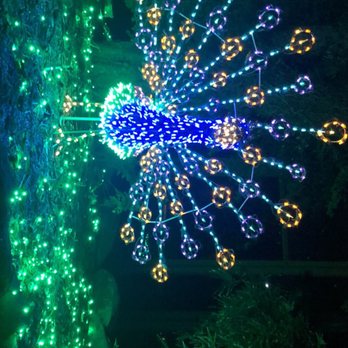 Zoolights - Zoos Near Me - Phoenix, Arizona Zoolights - Zoos Near Me - Phoenix, Arizona
