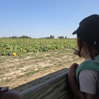 Tuttle Orchards - Tractor ride by pumpkin patch - Fruits & Veggies Near Me - Greenfield, Indiana