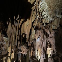 Grand Caverns - Stalactites