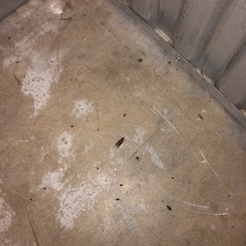 Extra Space Storage - Dead roach - Self Storage Near Me - Reston, Virginia