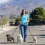 Photo of Pura Vida Pet Care