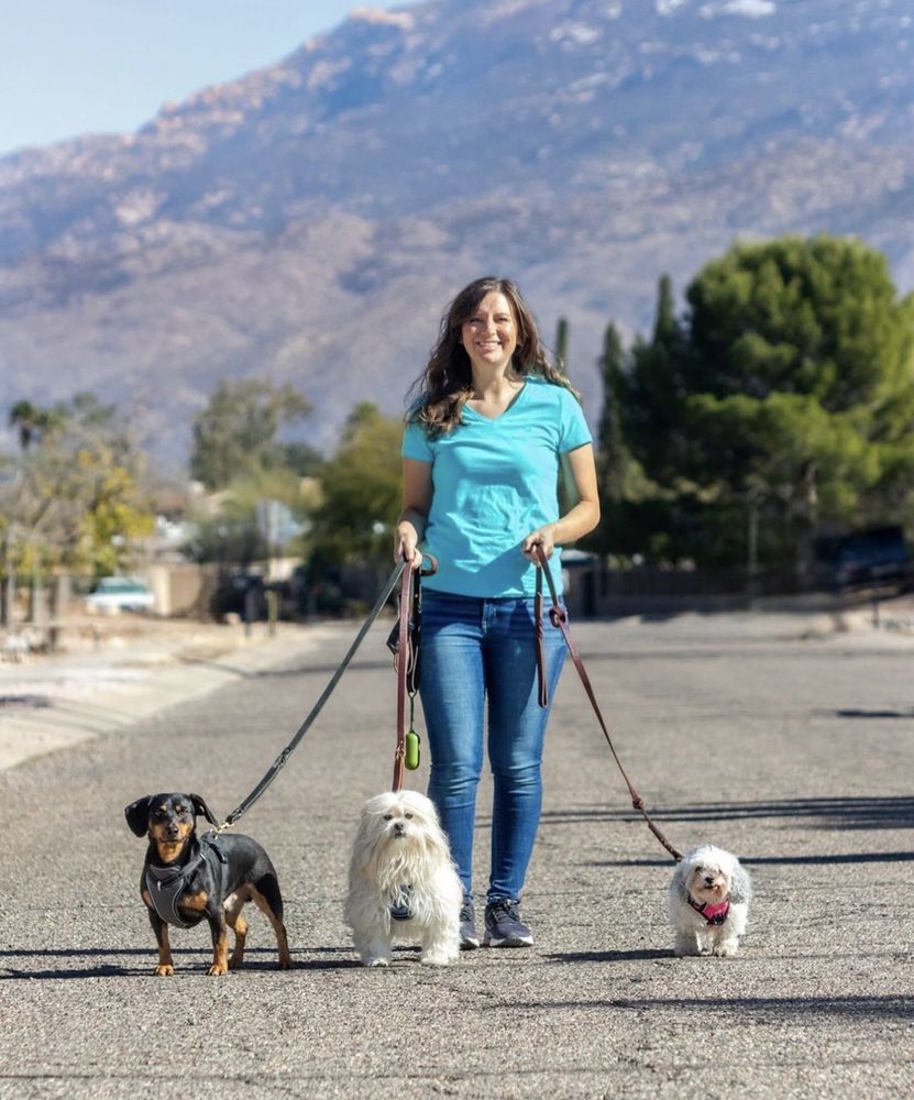 Pura Vida Pet Care - pet boarding facility in Tucson, AZ