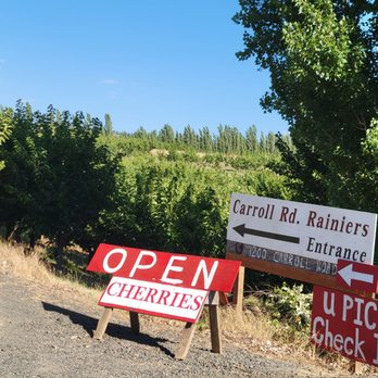 Root Orchards - Pick Your Own Farms Near Me - Mosier, Oregon