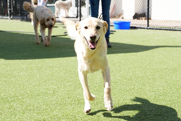 Now Boarding by null