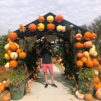 Harvest Nights at Newfields - Festivals Near Me - Indianapolis, Indiana