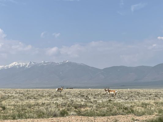 Orient Land Trust/Valley View Hot Springs by null