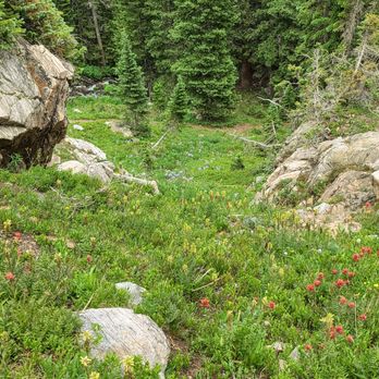 Crater Lakes - Hiking Near Me - Rollinsville, Colorado