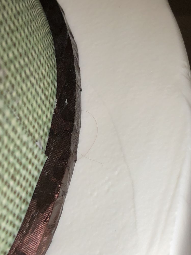 SUGAR SHOWCASE - 1725 S Raccoon Rd, Austintown, Ohio - Bakeries - Phone