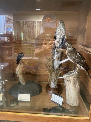 Anita B. Gorman Conservation Discovery Center by null