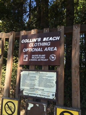 Collins Beach (clothing optional) by null