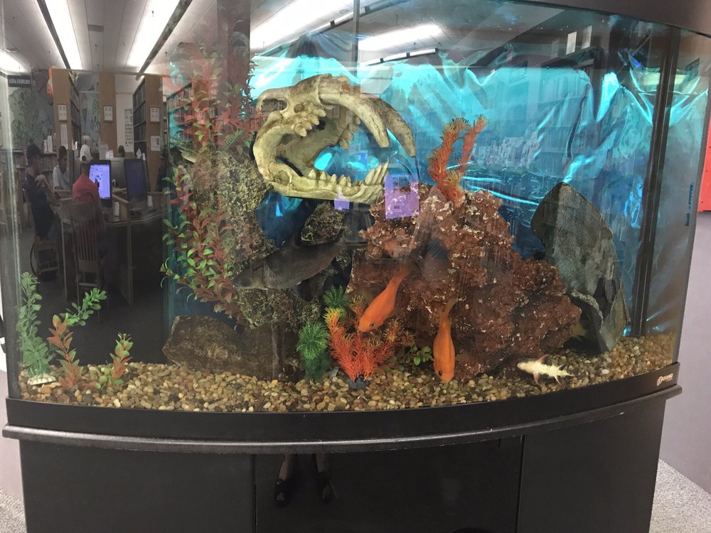 EAST FLAGSTAFF COMMUNITY LIBRARY Updated August 2024 3000 N 4th St, Flagstaff, Arizona