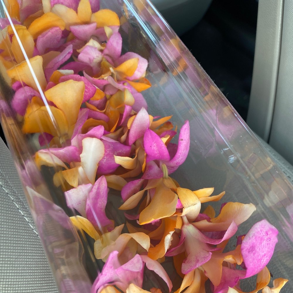 Breezy Floral - Florists Near Me - Layton, Utah Breezy Floral - Florists Near Me - Layton, Utah