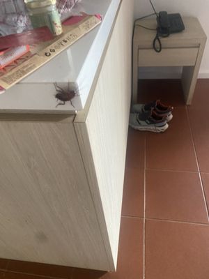 Emu Walk Apartments by null