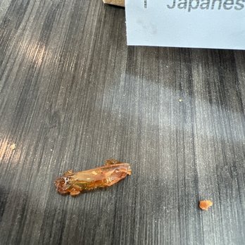 Suki Hana - Not sure, thought it was a roach at first but maybe a shrimp tail. - Japanese Near Me - Sherman Oaks, California Suki Hana - Not sure, thought it was a roach at first but maybe a shrimp tail. - Japanese Near Me - Sherman Oaks, California