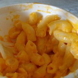 Bush's Chicken - Mac n' Orange. Absolutely no taste. None.
