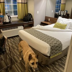 Microtel Inn & Suites by Wyndham Bellevue