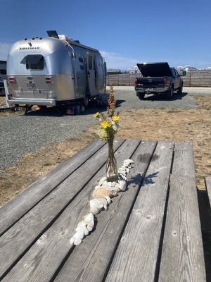 Bay Point Landing by null