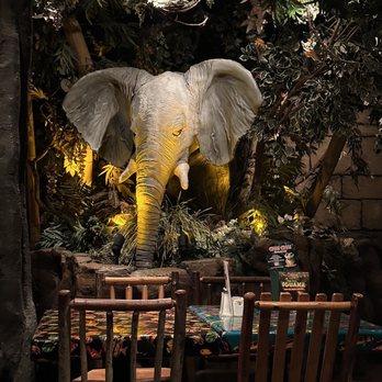 Rainforest Cafe - American Near Me - San Antonio, Texas Rainforest Cafe - American Near Me - San Antonio, Texas