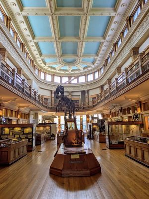 Redpath Museum by null