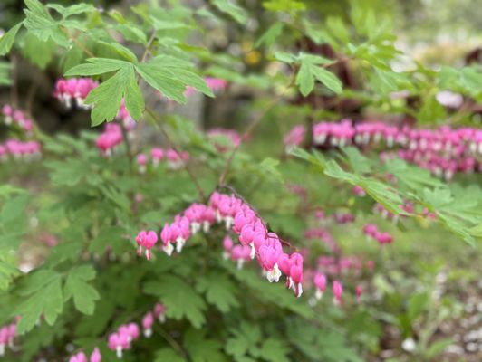 Fantastic Umbrella Factory by null